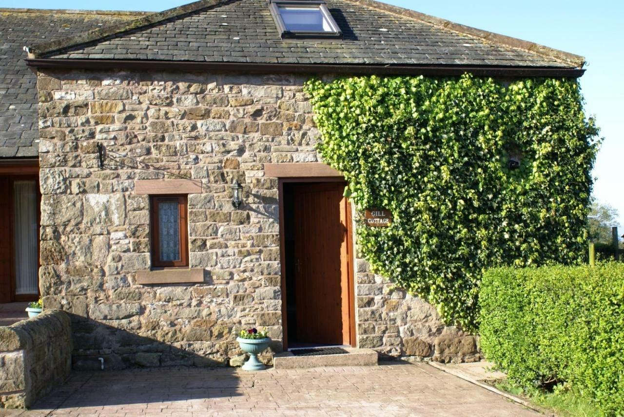 Gill Cottage Castle Carrock Экстерьер фото